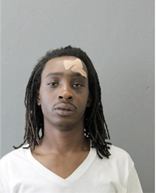 SHAWNTRELL J PIERCE, Cook County, Illinois