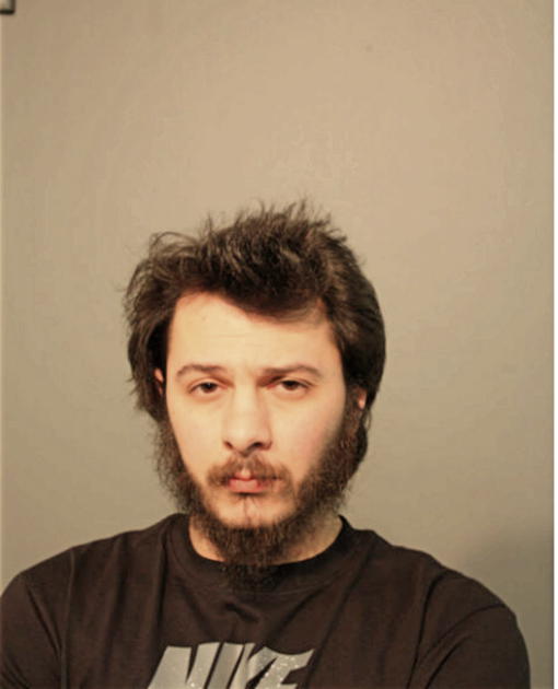 CHARLES E RAULSTON, Cook County, Illinois