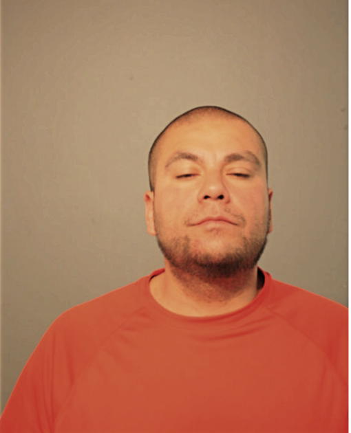 RAY B RICO, Cook County, Illinois