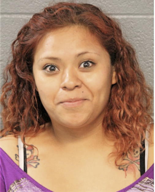 ALEJANDRA RODRIGUEZ-GARCIA, Cook County, Illinois