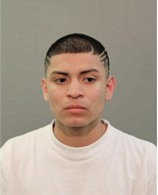OSCAR E ROSALES, Cook County, Illinois
