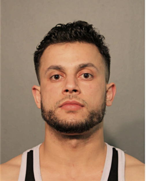 MIGDADI M SADAN, Cook County, Illinois