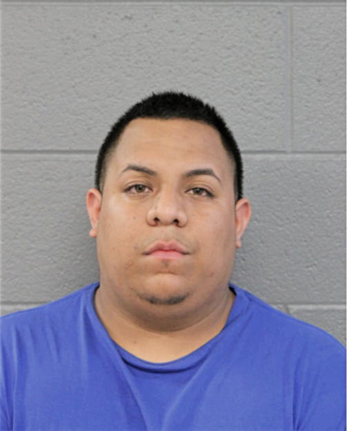 EDUARDO A SALINAS, Cook County, Illinois