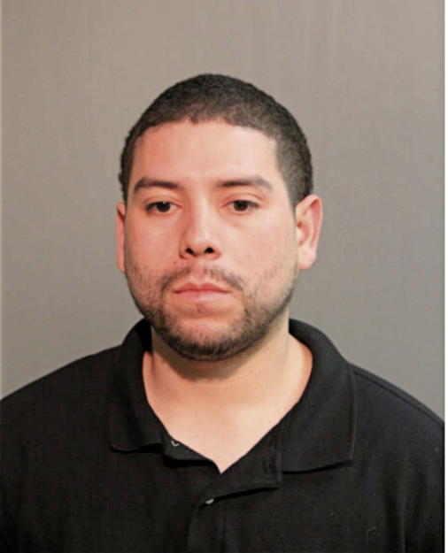 LUIS M SANCHEZ, Cook County, Illinois