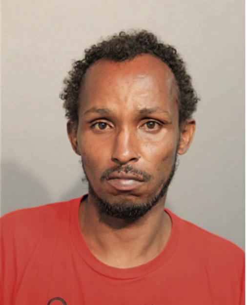SAID ABDI, Cook County, Illinois
