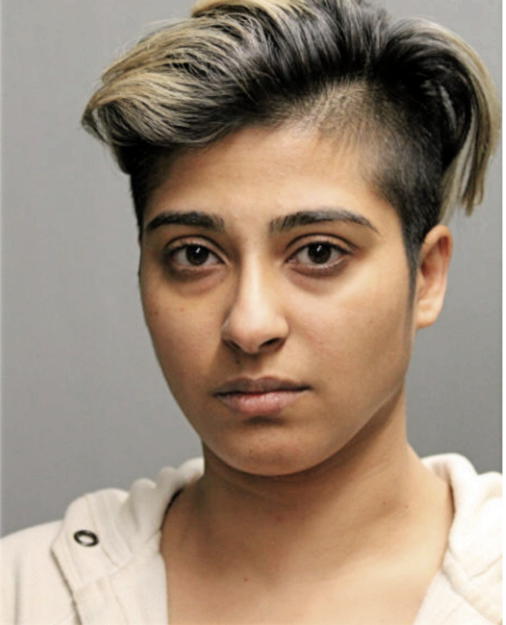 MARIA M AFRIDI, Cook County, Illinois
