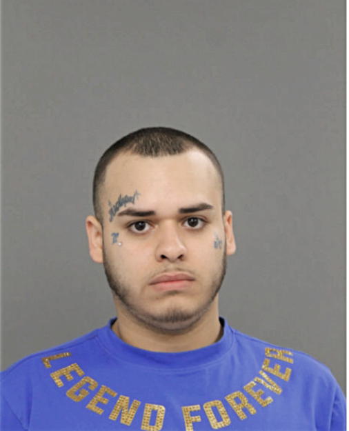 JUNIOR L ALICEA, Cook County, Illinois