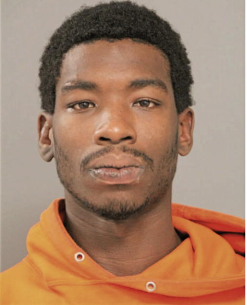 DERRICK D ANDERSON, Cook County, Illinois