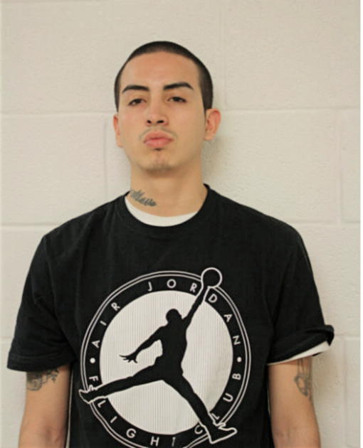 JOSE C BARCENAS, Cook County, Illinois