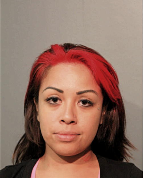 VANESSA A BRITO, Cook County, Illinois