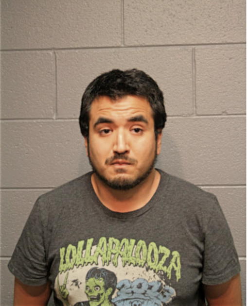 DAVID FAVELA, Cook County, Illinois