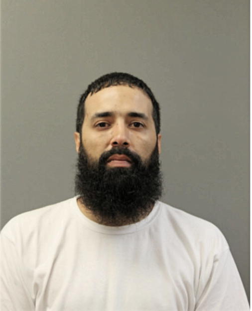 OMAR T FELICIANO, Cook County, Illinois