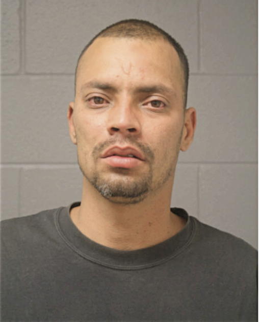 LUIS E FIGUEROA, Cook County, Illinois