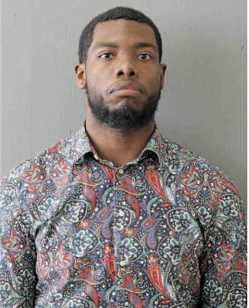 MICHAEL A FINCH, Cook County, Illinois