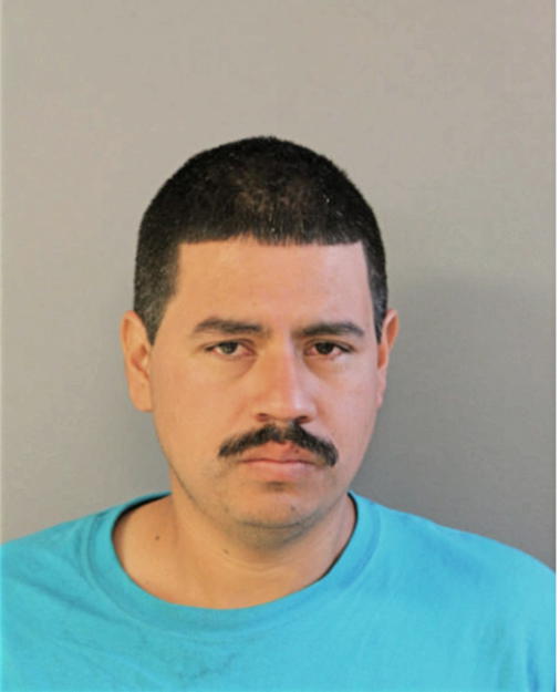 MELCHOR C FLORES, Cook County, Illinois