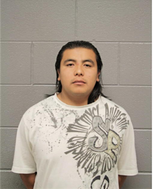 EDUARDO S GONZALEZ, Cook County, Illinois