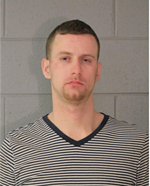 DAVID A GUNDERSON, Cook County, Illinois