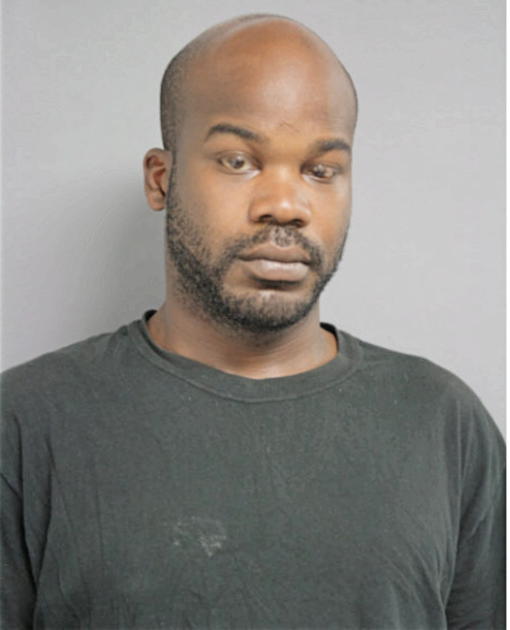 KENNETH T HAMNER, Cook County, Illinois
