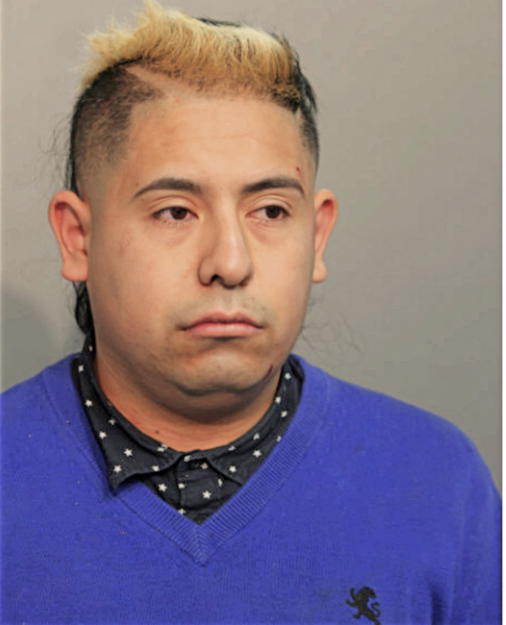 FERNANDO O HERNANDEZ, Cook County, Illinois