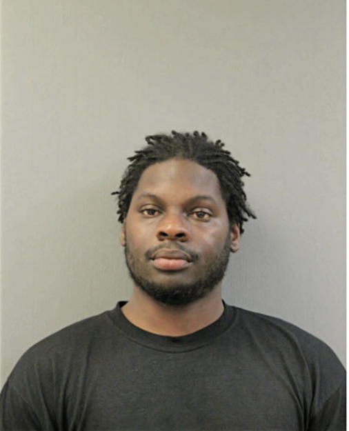 DAMIEN L HOLMES, Cook County, Illinois