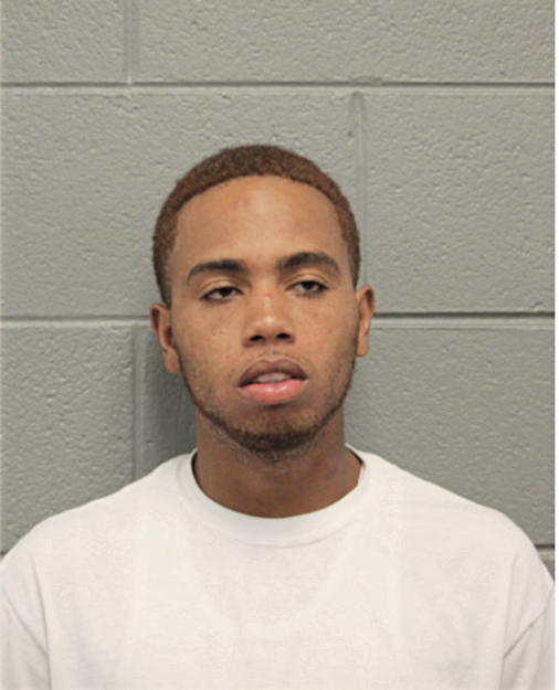 JAVAUHN J JOHNSON, Cook County, Illinois