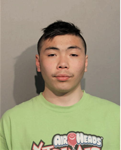 KEVIN NGUYEN, Cook County, Illinois