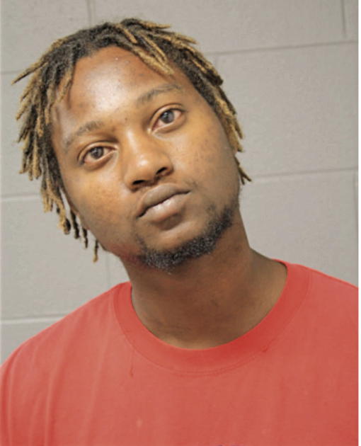 DESMOND D NOBLE, Cook County, Illinois