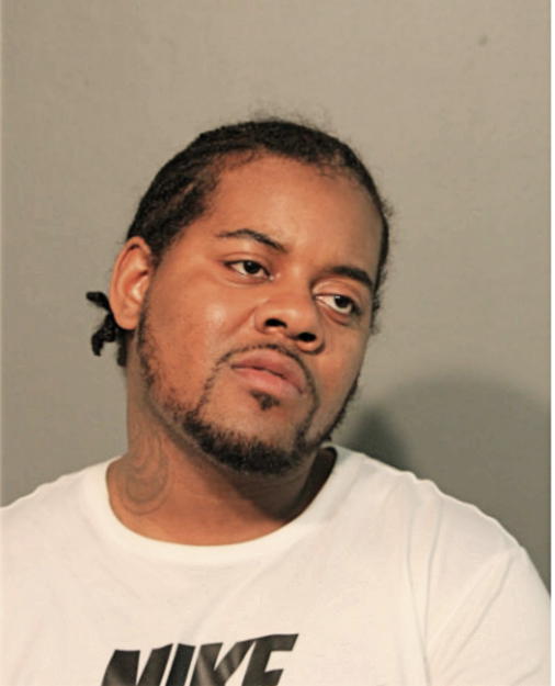 STEVEN L ORR, Cook County, Illinois