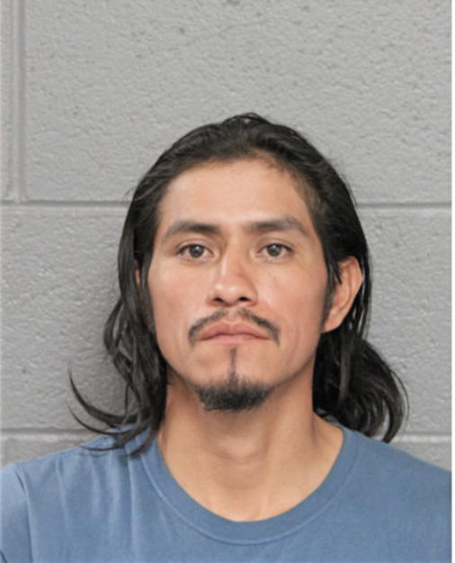 LUIS A PEREZ-CORRAL, Cook County, Illinois