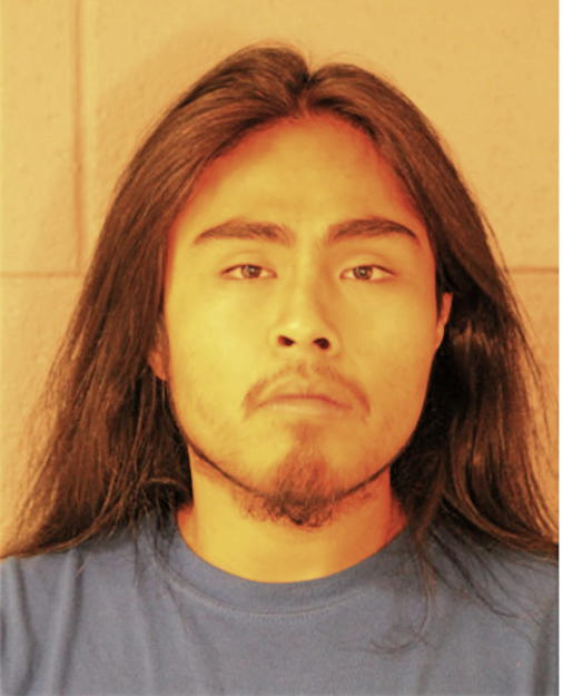 EMMANUEL ROSALES, Cook County, Illinois