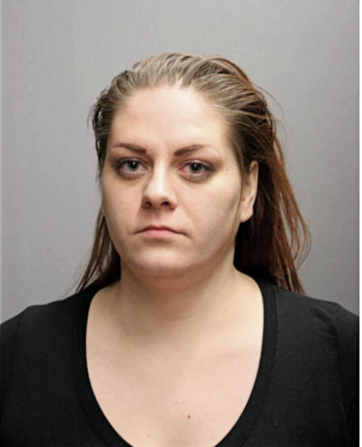 TANYA L SCHNEIDER, Cook County, Illinois