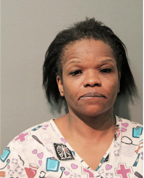 TRINIKI T SCOTT, Cook County, Illinois