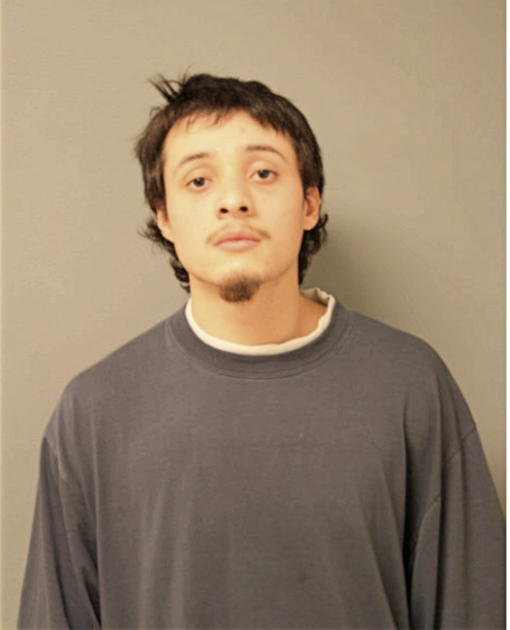 MARCO TAMAYO, Cook County, Illinois