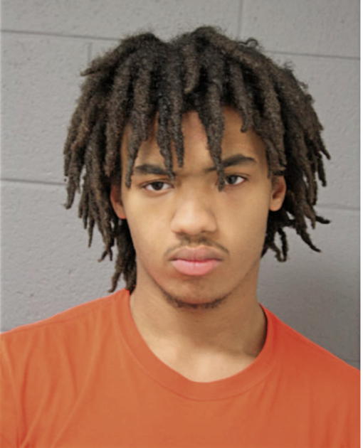 AARON J TAYLOR, Cook County, Illinois