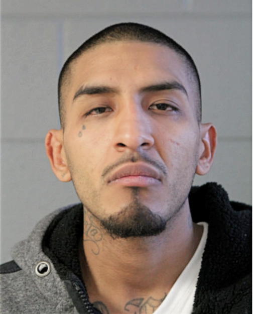 RAFAEL UGARTE, Cook County, Illinois