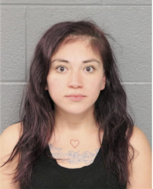 ERICA NUNEZ VARGAS, Cook County, Illinois