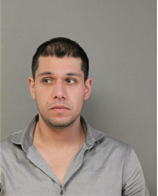 JESUS J ZEPEDA, Cook County, Illinois