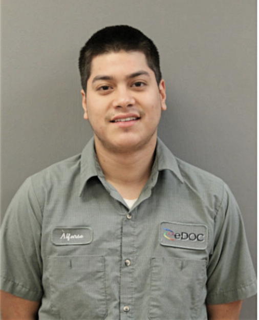 ALFONSO ALARCON, Cook County, Illinois
