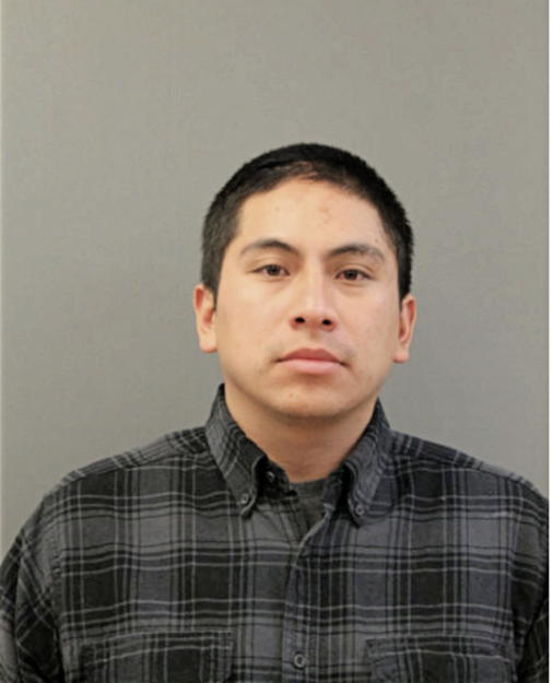 JOSE L ANAYA-MENCHACA, Cook County, Illinois
