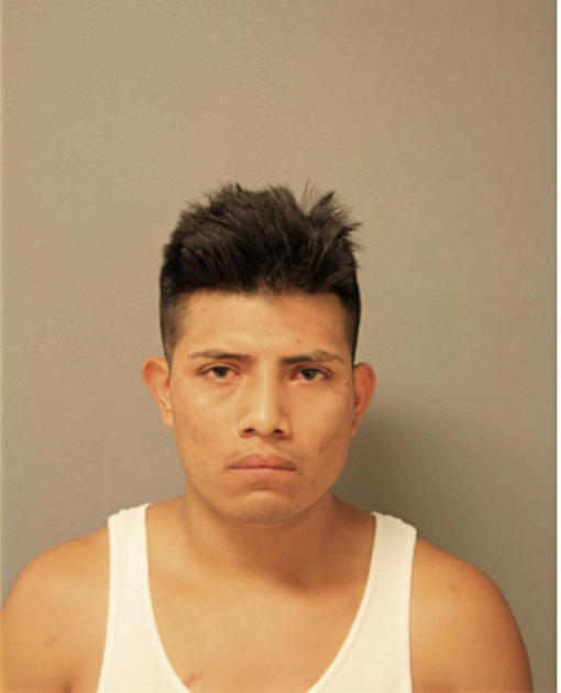 LUIS M ANTONIO, Cook County, Illinois