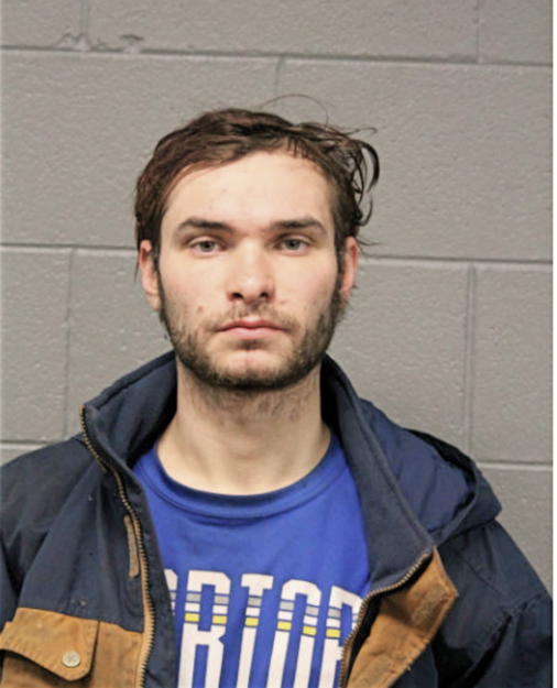 ELVEDIN BLAZEVIC, Cook County, Illinois