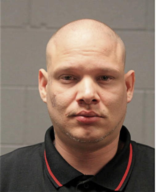 ANTHONY BOU, Cook County, Illinois