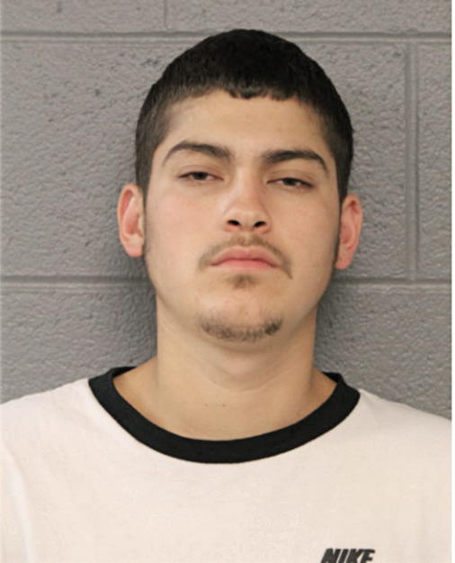 RAY F CUEVAS, Cook County, Illinois