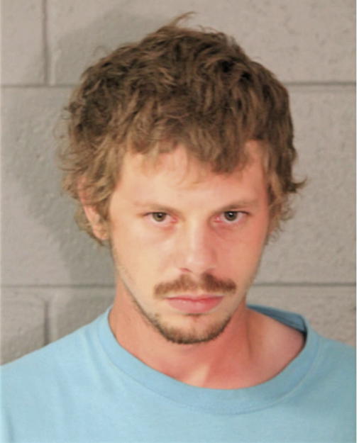 STEVEN T FLAVIN, Cook County, Illinois