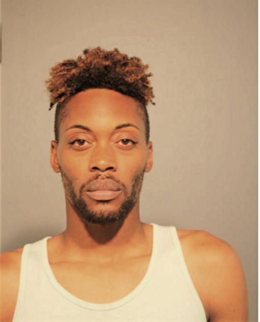 LENDALE R JOHNSON, Cook County, Illinois