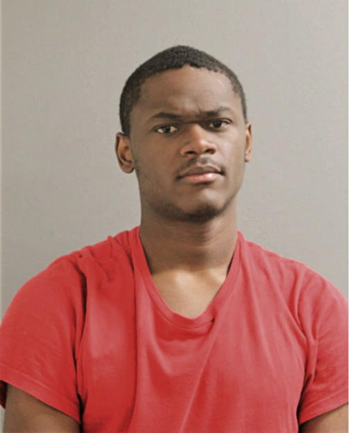 LYNNELL JOHNSON, Cook County, Illinois