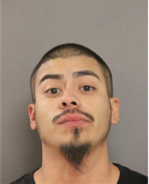 JOSE F MENDEZ, Cook County, Illinois