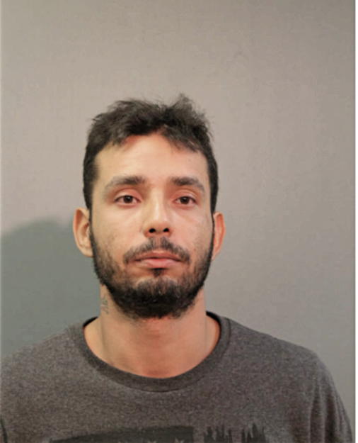 LUIS OCHOA, Cook County, Illinois