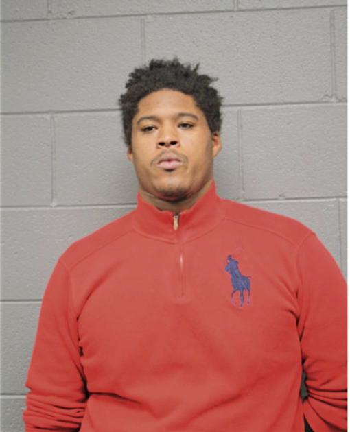 ERIC D ORR, Cook County, Illinois