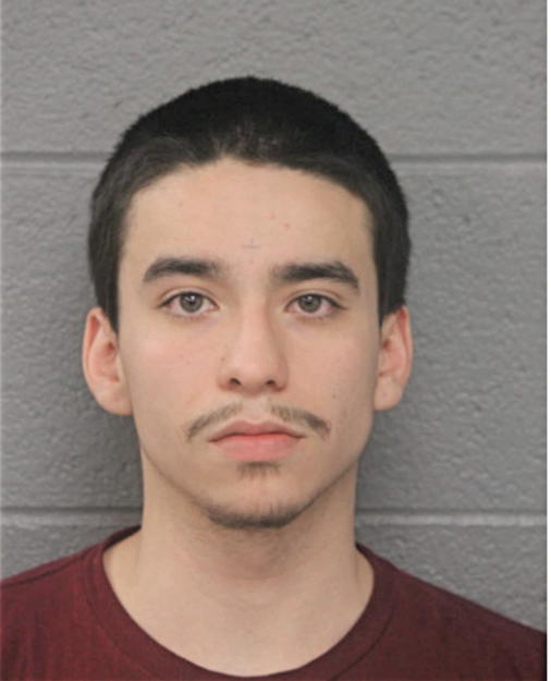 JAVIER ORTIZ, Cook County, Illinois